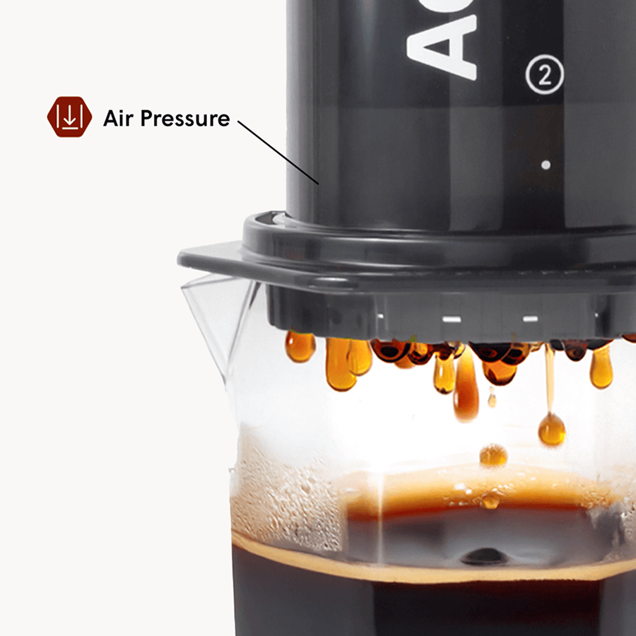 AeroPress Original XL Coffee Press with Carafe