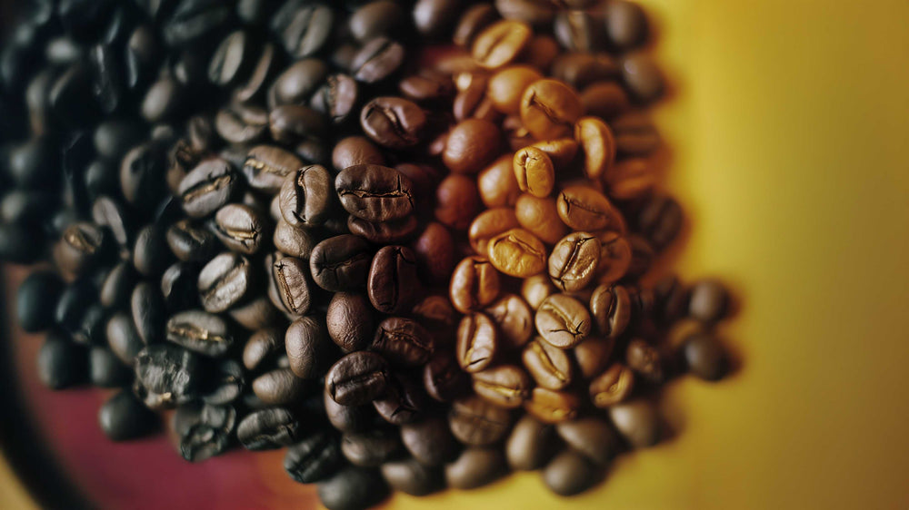 Roasted coffee beans in warm light