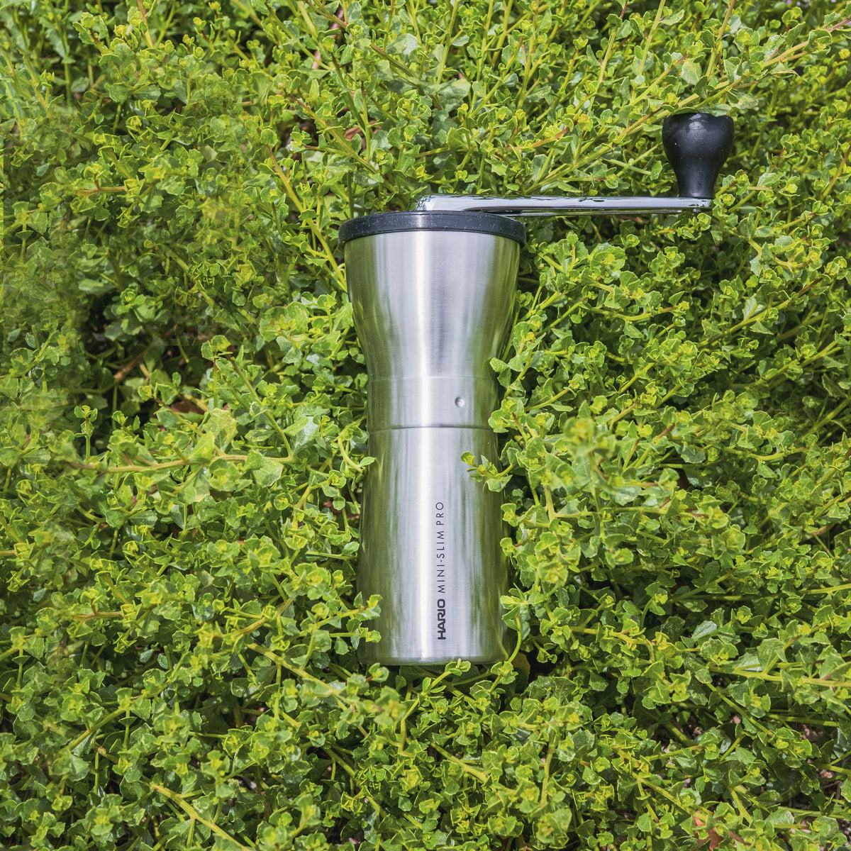 Hario Mini-Slim Pro Manual Coffee Grinder
