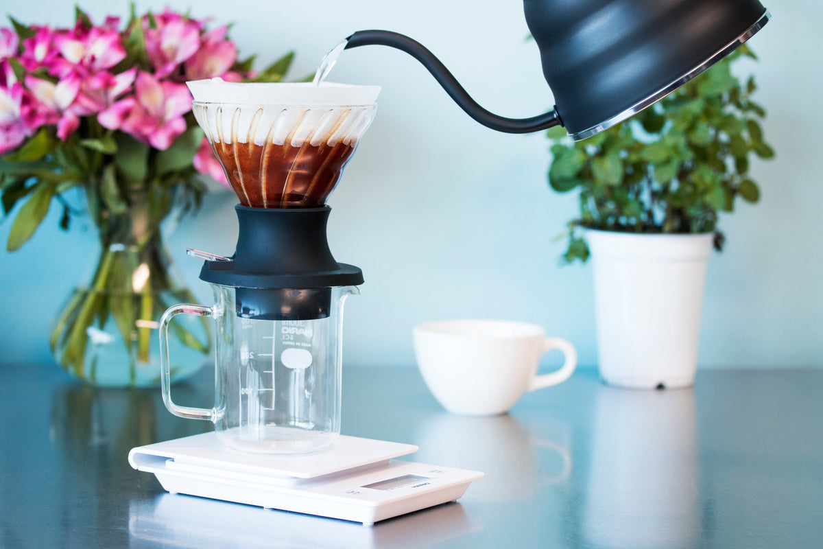 Hario V60 SWITCH Glass Immersion Dripper
