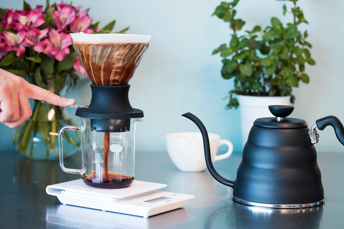 Hario V60 SWITCH Glass Immersion Dripper